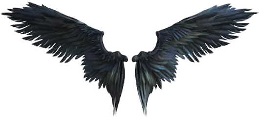 Download Raven Crow Wings Freetoedit 悪魔 の 翼 イラスト Png Image With No Background Pngkey Com
