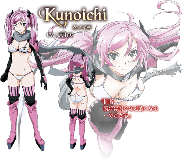 Kunoichi Anime - Bikini Warriors Characters (885x665), Png Download