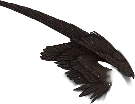 Bald Eagle (640x500), Png Download