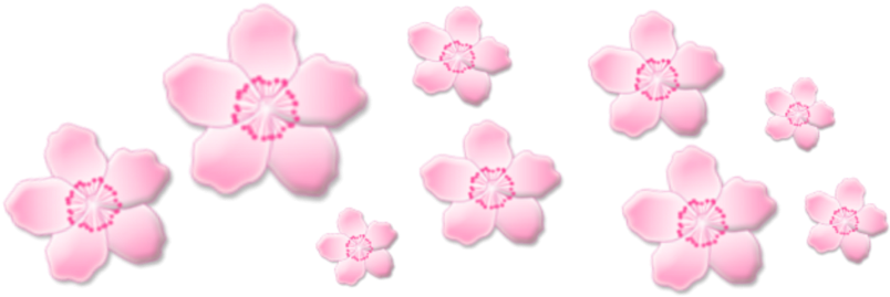 Pink Flower Aesthetic Png (1024x1024), Png Download
