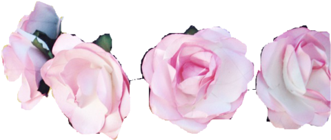 Flower Crown Flower Crown - Overlays Flower Crown Png (500x269), Png Download