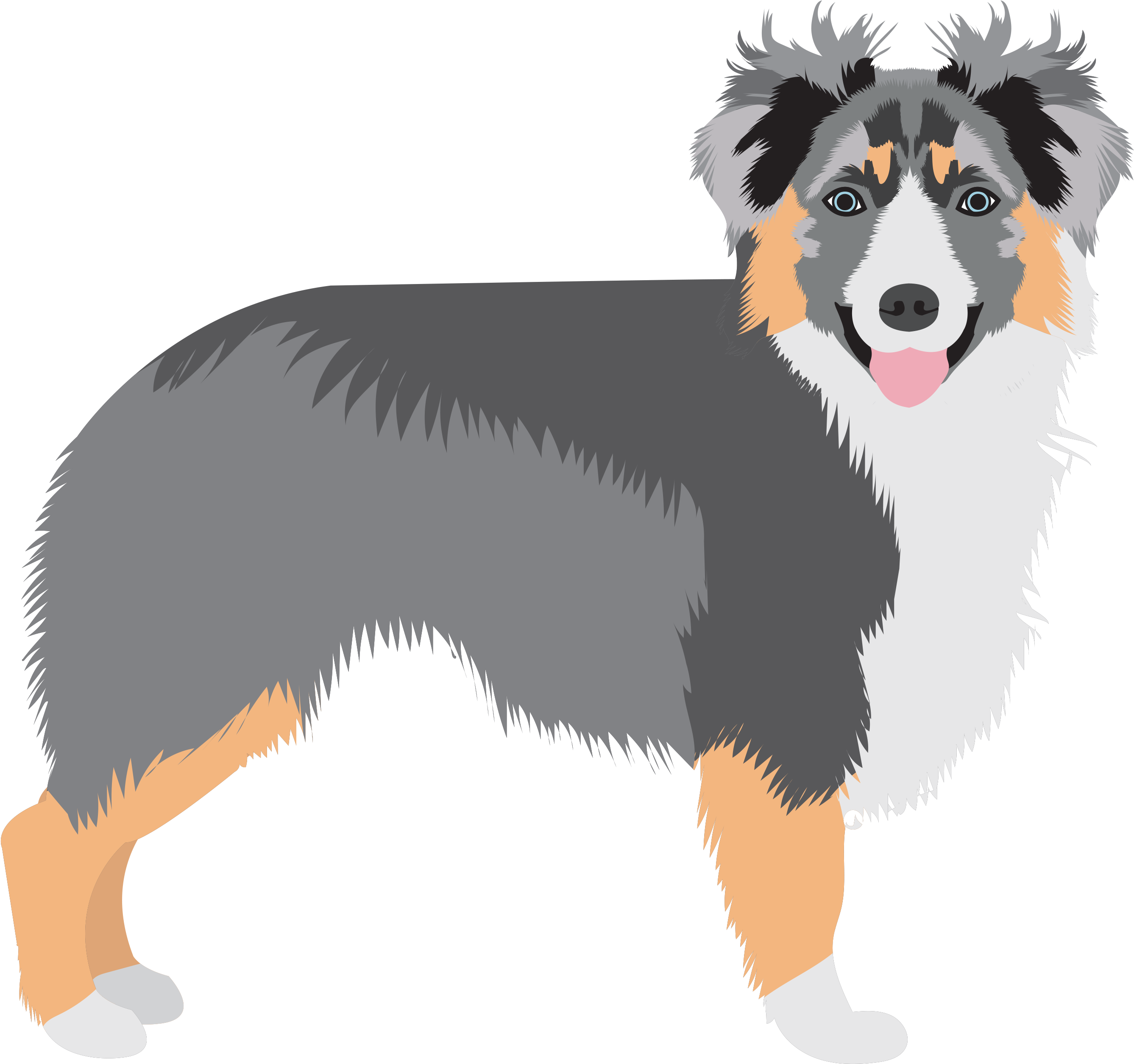 Share This - - English Shepherd (3150x2550), Png Download