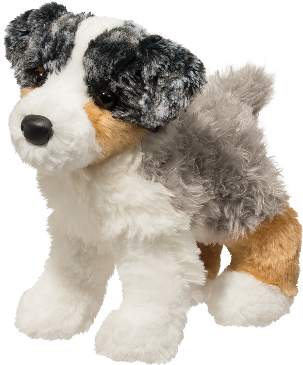 Douglas Blitz Australian Shepherd (1000x1000), Png Download