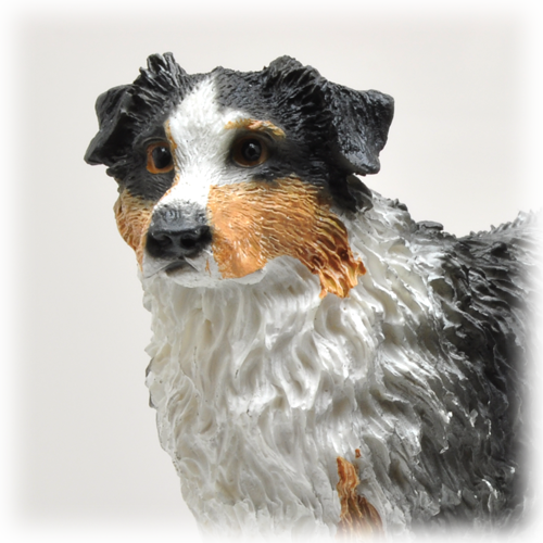Wholesale Australian Shepherd With Wood Urn Detail - Australian Shepherd (500x500), Png Download