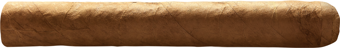 Corona - Cigare Dannemann (1654x354), Png Download