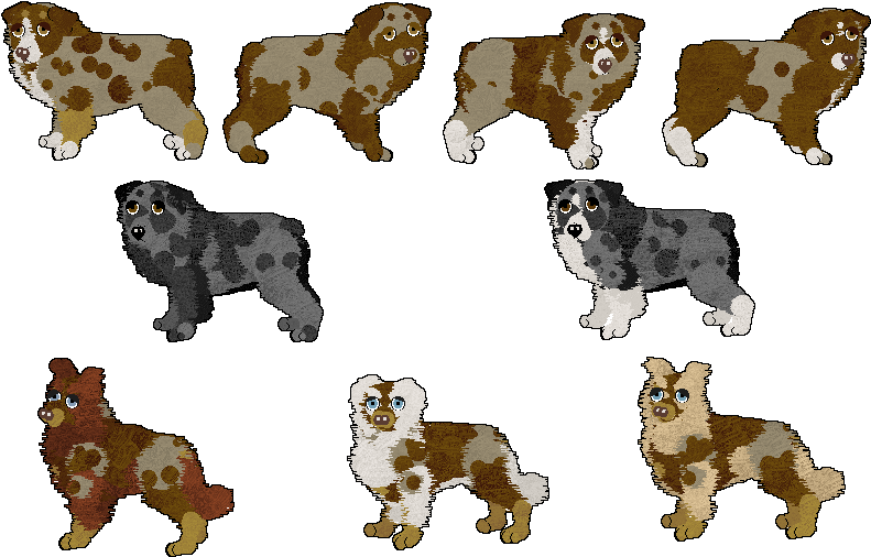 Image From Rydersaussies - Ancient Dog Breeds (817x539), Png Download