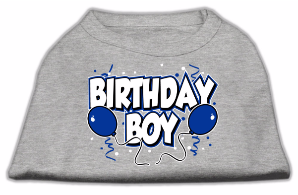 Birthday Boy Screen Print Shirts Grey - Mirage Pet Products 10-inch Birthday Boy Screen Print (600x600), Png Download