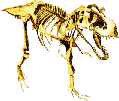 Histologic Analysis Of Tyrannosaurus Rex Bones Showed - Glogster (400x354), Png Download