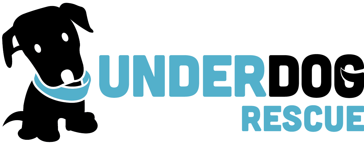 Underdog Rescue (1206x477), Png Download