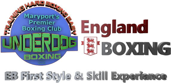 C First England Boxing Experience - Boxing (600x300), Png Download