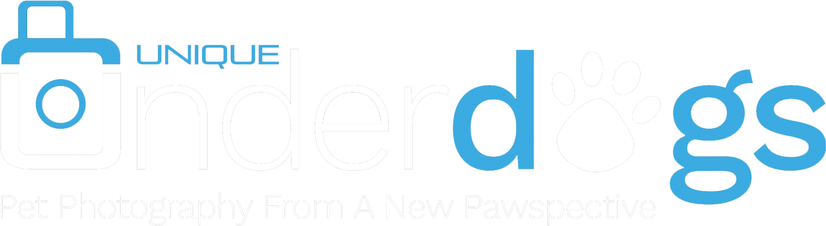 Unique Underdogs - Pawspective (1741x556), Png Download