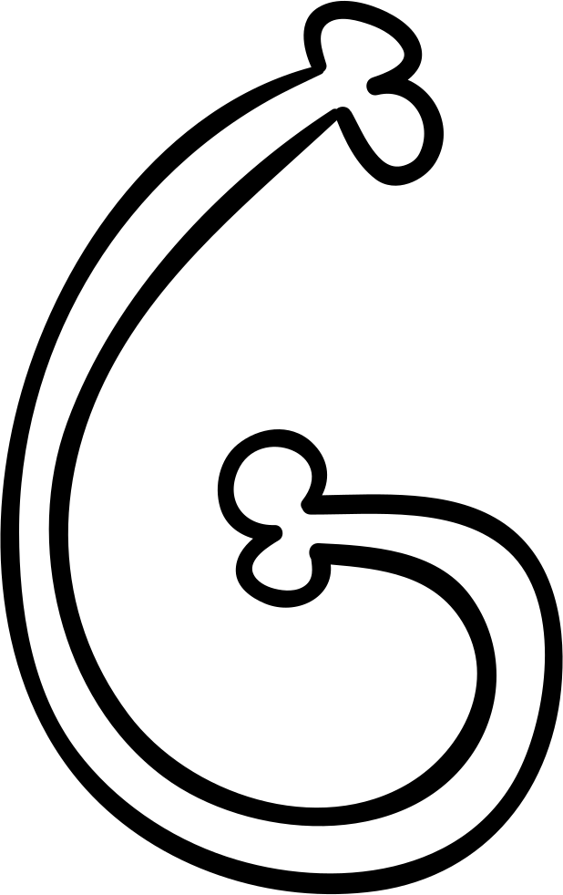 Letter G Of Curved Bone Outlined Typography Comments - Typography (618x982), Png Download