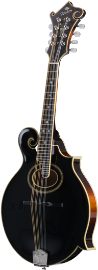 Gibson 1905 (225x560), Png Download