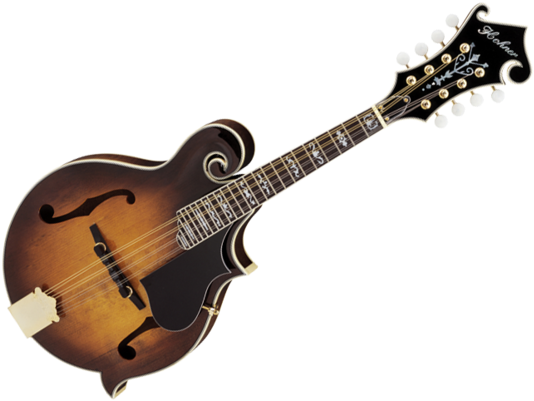 Ibanez Iceman (570x423), Png Download