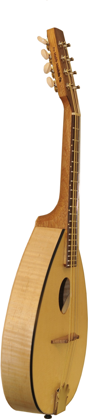 Mandolin Png (1000x1506), Png Download