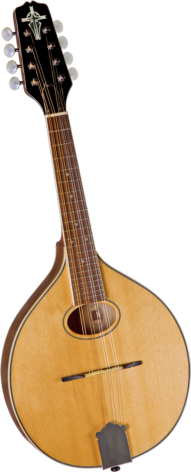 Trinity College Flat Top Mandolin - Trinity College Tm-250 Standard Celtic Mandolin (1008x1600), Png Download