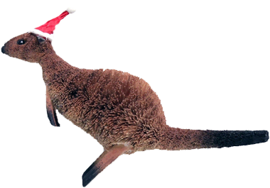 Kangaroo With Santa Hat - Kangaroo With A Santa Hat (450x750), Png Download