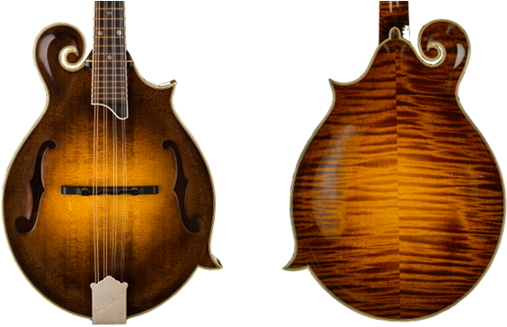 Heiden Stringed Instruments F-style Artist Mandolin - Heiden Mandolin (600x375), Png Download