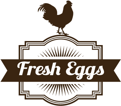 Fresheggs - Portable Network Graphics (504x360), Png Download
