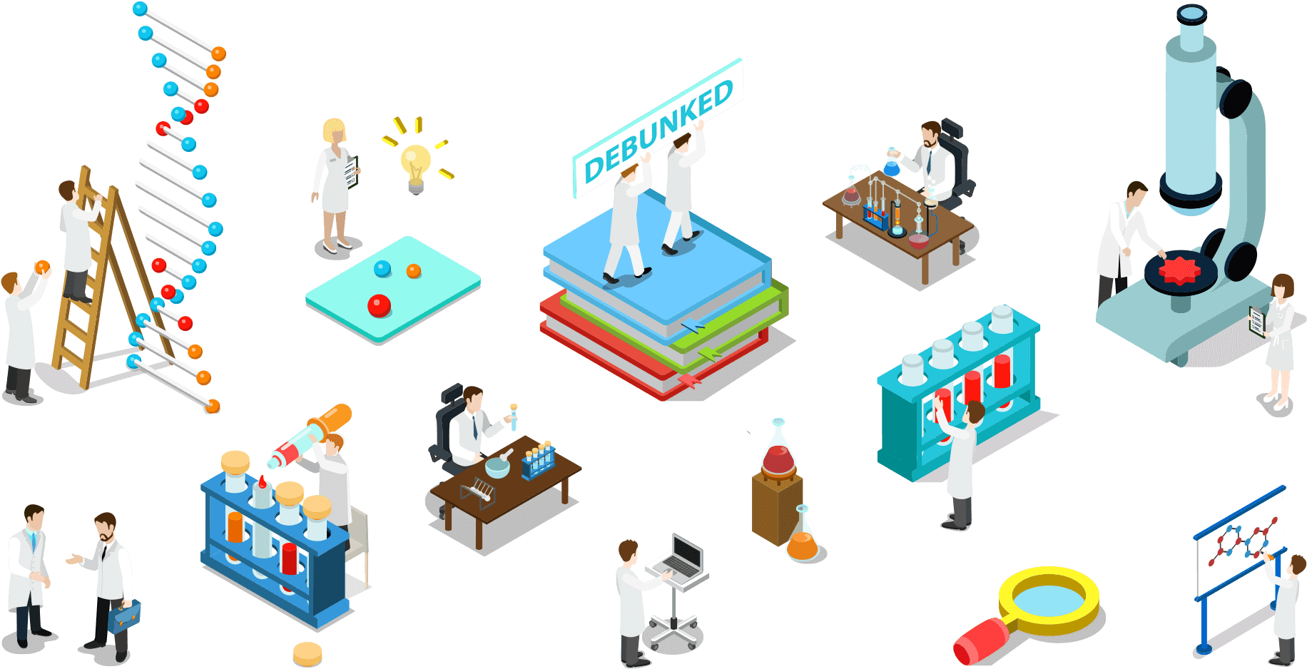 Myth And Misconceptions Infographic - Infographic (1960x1080), Png Download