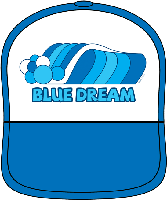 Blue Dream Hat - Hat (800x800), Png Download