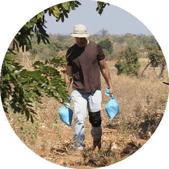 Parasitic Weed - Gardener (347x347), Png Download