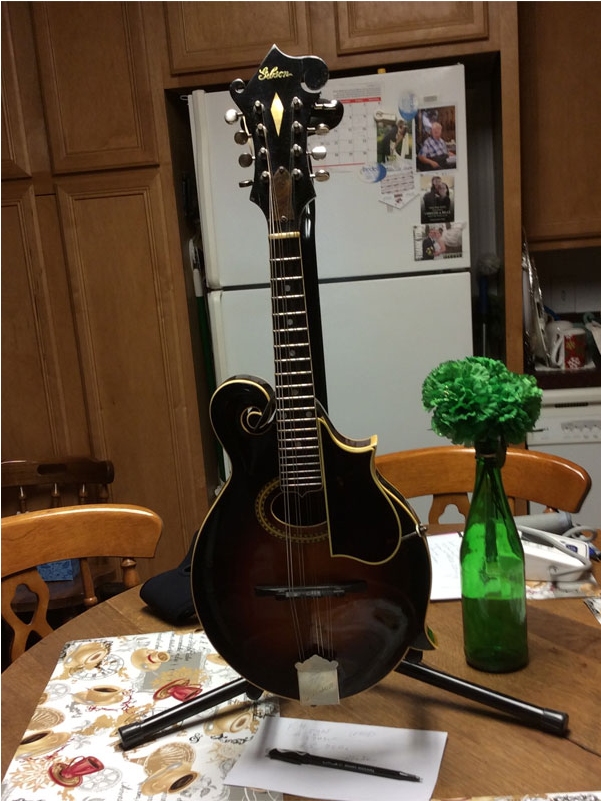 1939 Gibson F4 Mandolin - Mandolin (800x800), Png Download