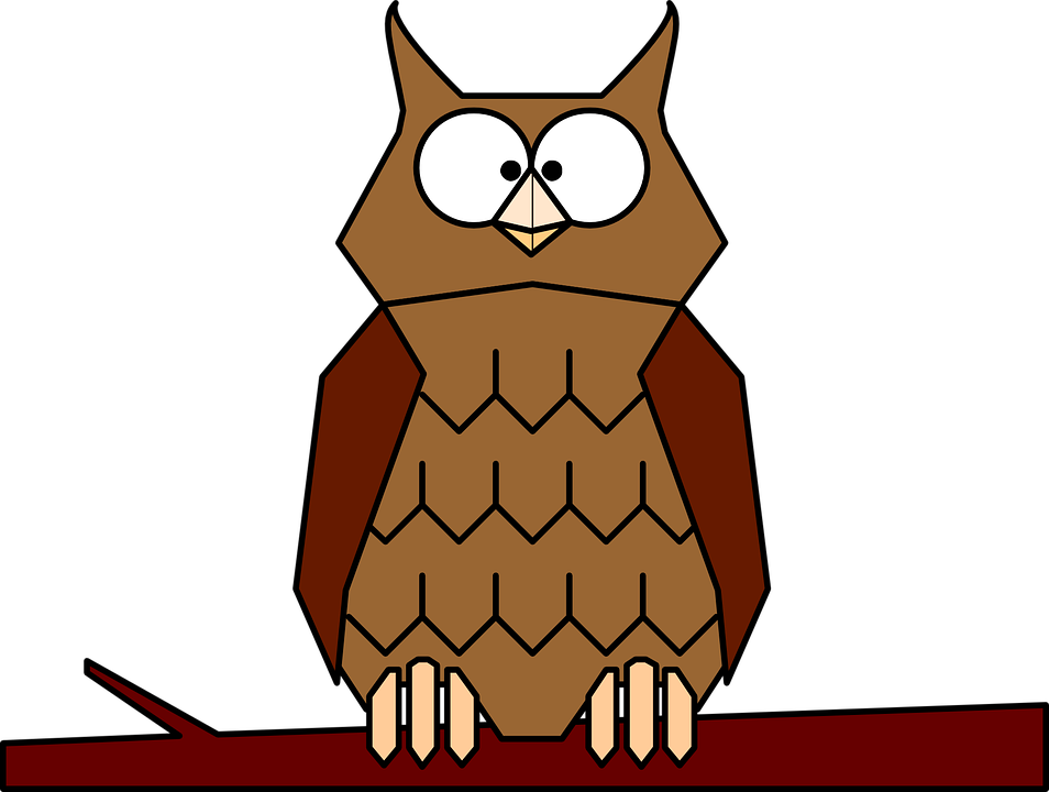 Owl Cartoon Png Clipart - Owl On A Branch Cartoon (954x720), Png Download