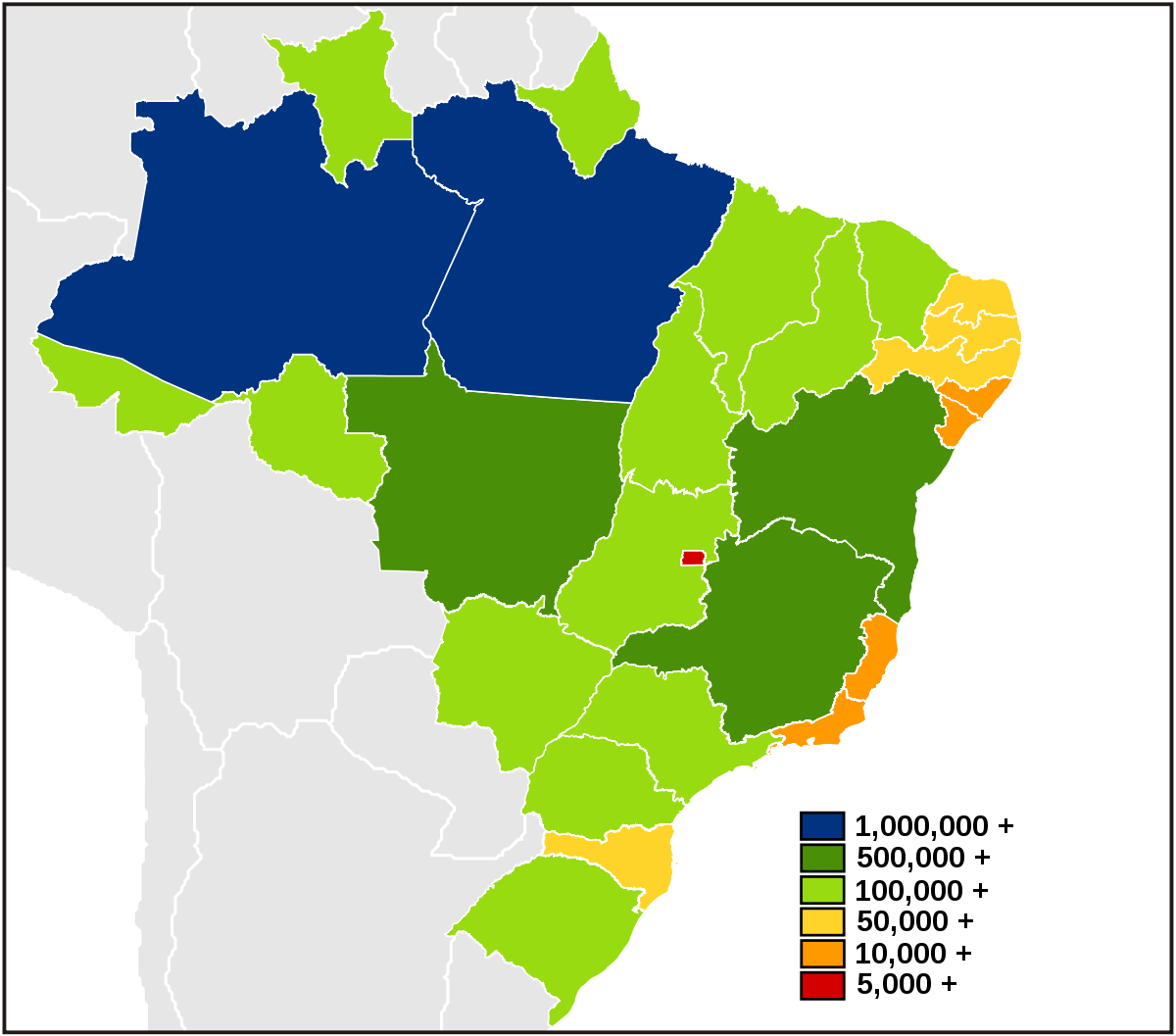 Maior Estado Do Brasil Em Extensão Territorial (1200x1057), Png Download