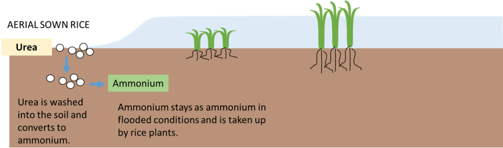 Picture3 - Portable Network Graphics (1000x302), Png Download
