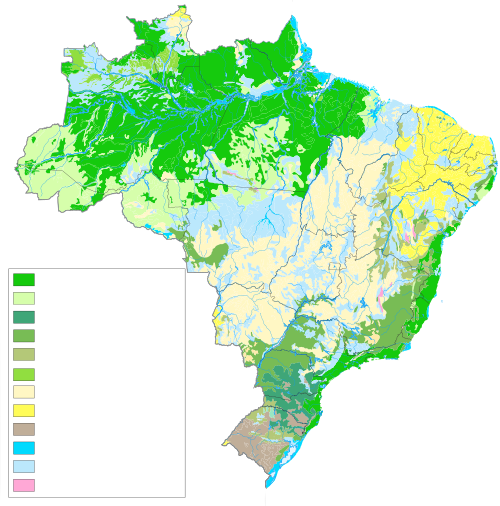 Vegetação Do Brasil - Mapa Da Vegetação Do Brasil (500x506), Png Download