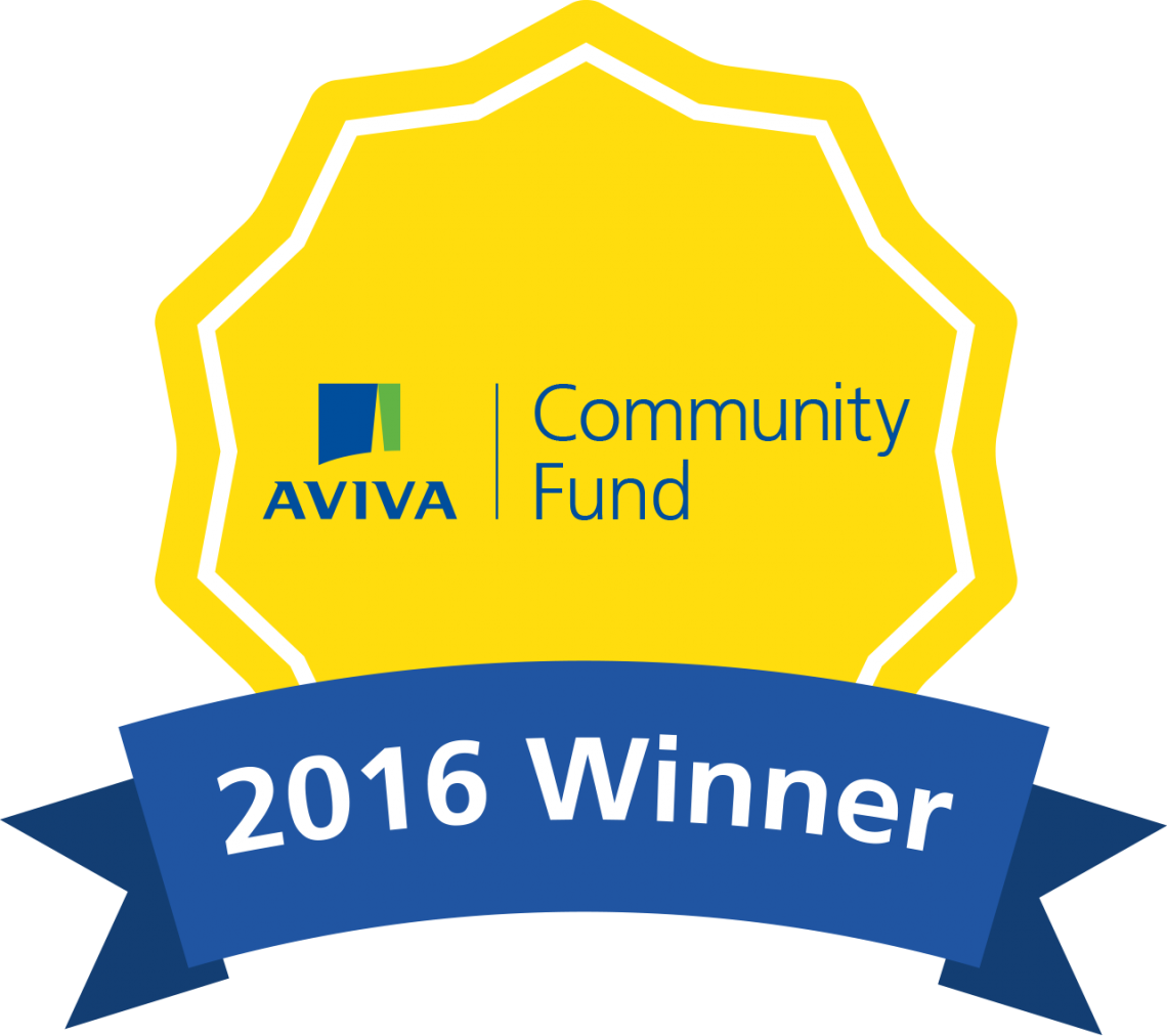 Aviva Award Winner 2016 - Aviva 2017 Winner (1140x1012), Png Download