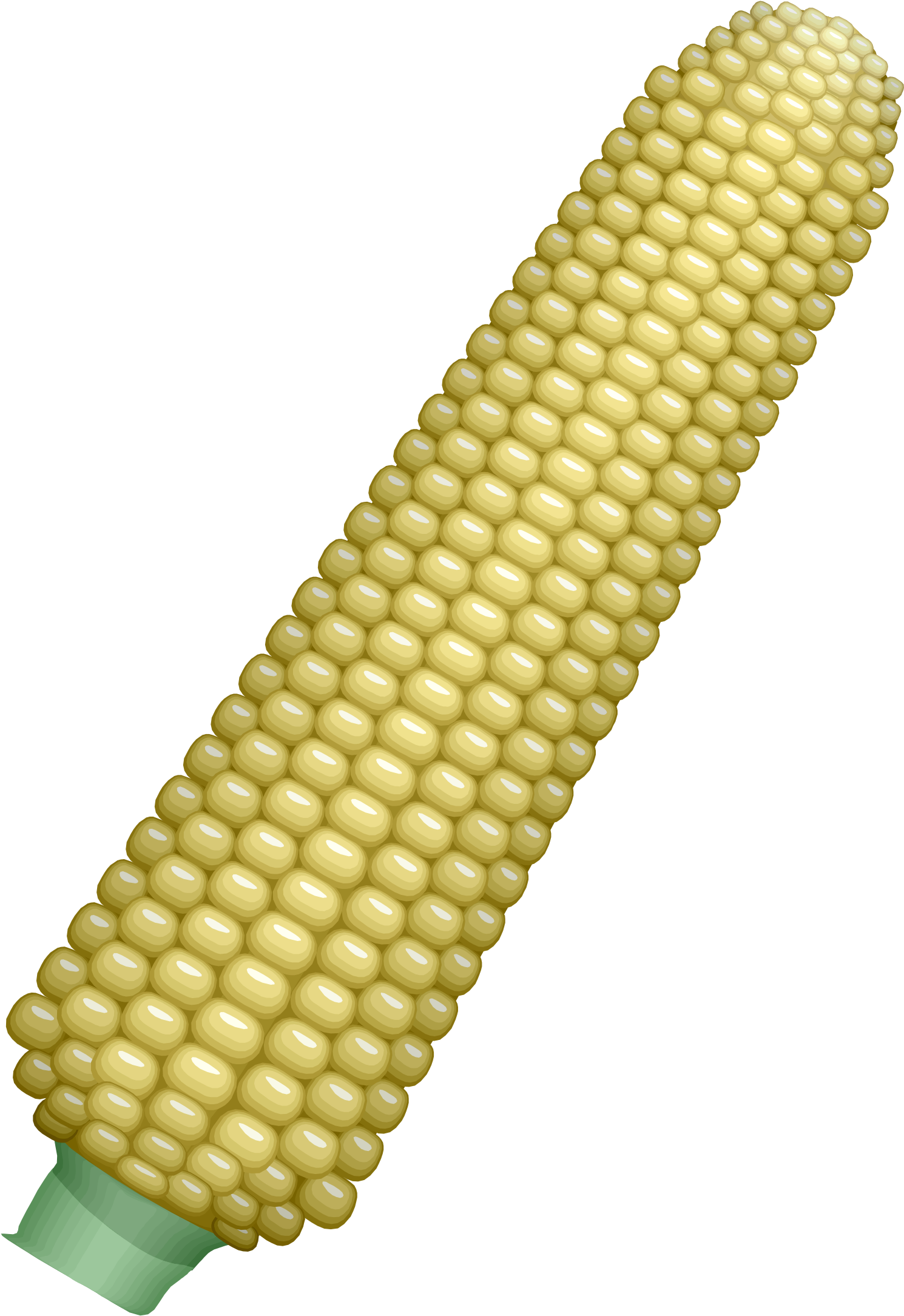 Ear Of Corn Vector Clipart Image - Maize (1803x2400), Png Download