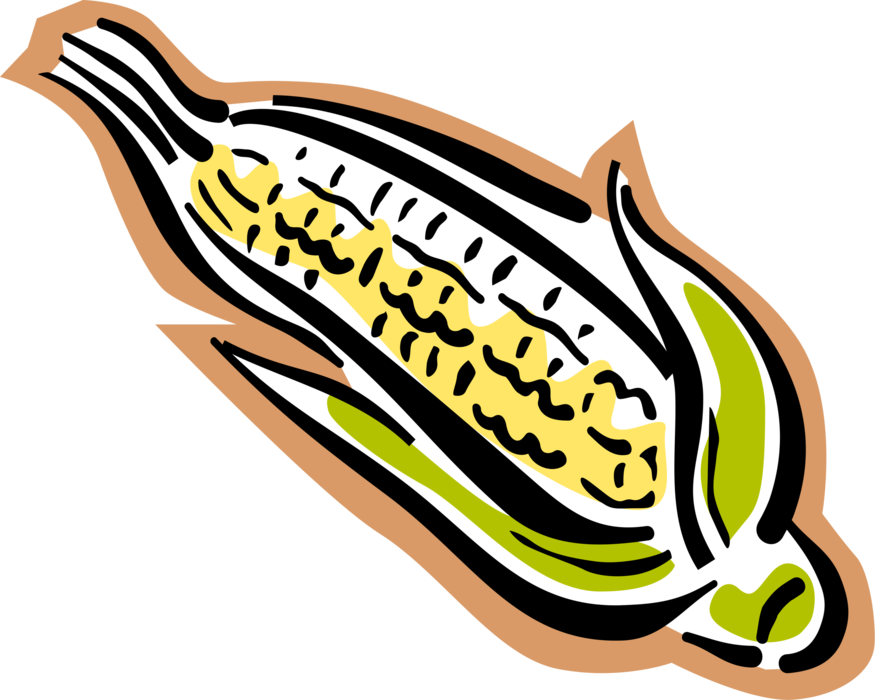 Vector Illustration Of Corn On The Cob Grain Plant - Maize (875x700), Png Download