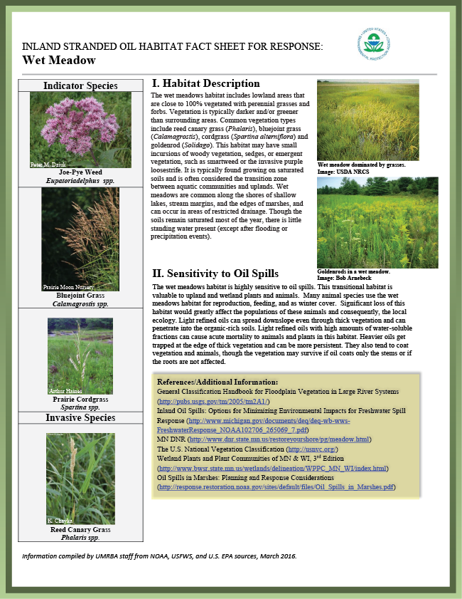 Download Pdf - Reed Canary Grass (650x841), Png Download