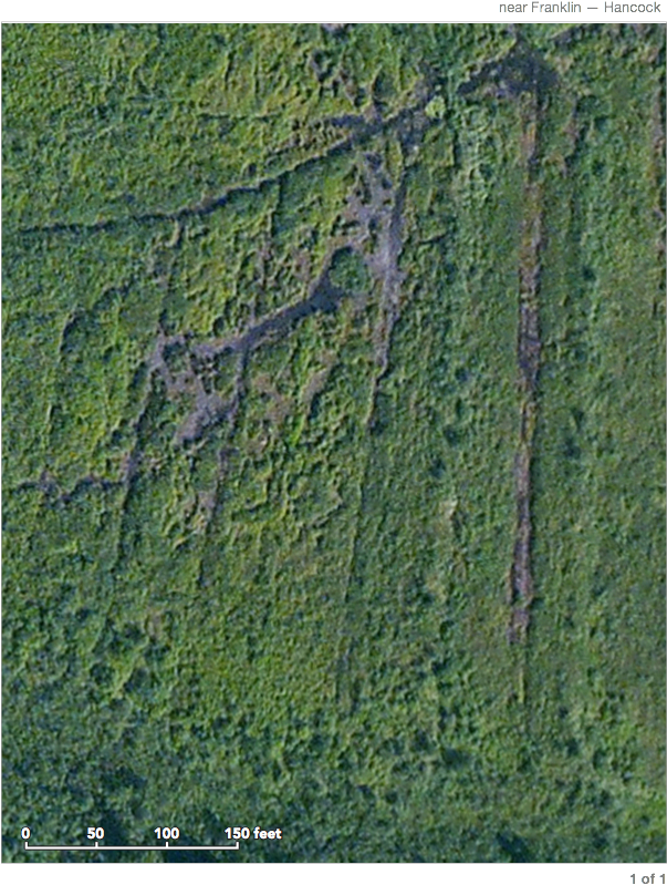 Paavola Wetlands - Grass (660x855), Png Download