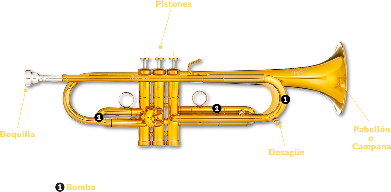 Hay Dos Tipos De Trompetas Que Veréis En El Espectáculo, - B&s Mbx2-gl. Trompeta En Si B (1920x873), Png Download