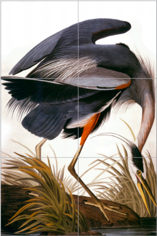Haymarket Tiles - Blue Heron - Birds Of America John James Audubon (480x480), Png Download