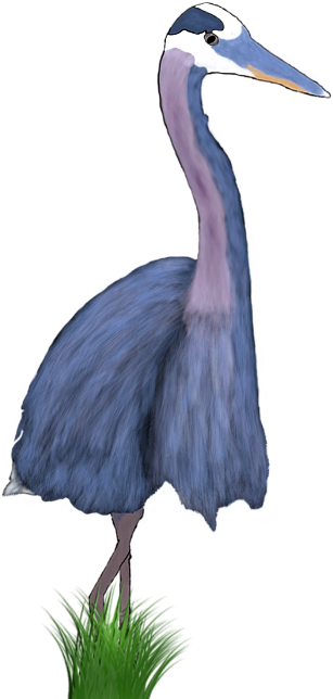 Click And Drag To Re-position The Image, If Desired - Niedliche Vogel-illustration Babylätzchen (560x700), Png Download