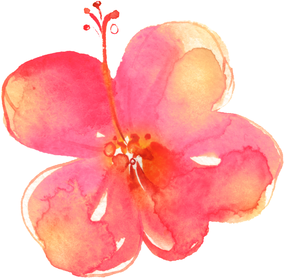 Painted Pink Hd Flower Petals Png - Flower (1024x1024), Png Download