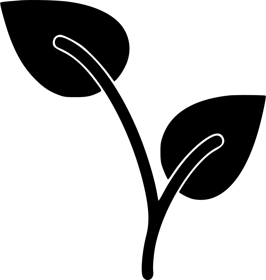 Growing Plant - - Plants (932x980), Png Download