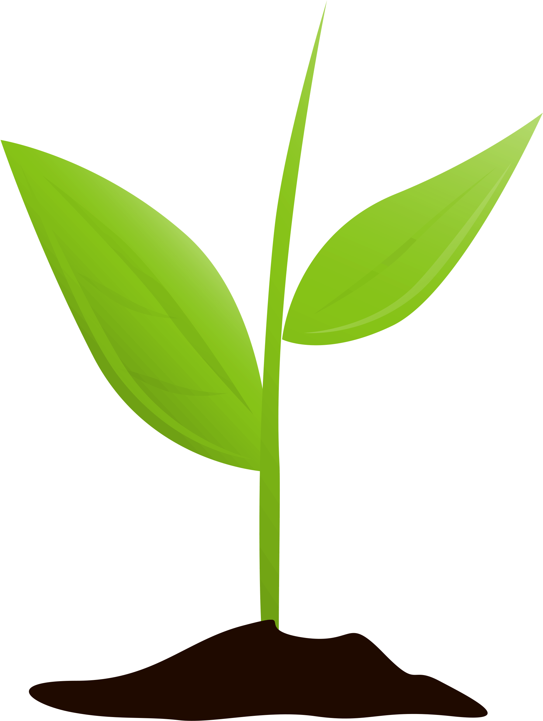 Growing Plant Mtq - Plants (3000x3154), Png Download