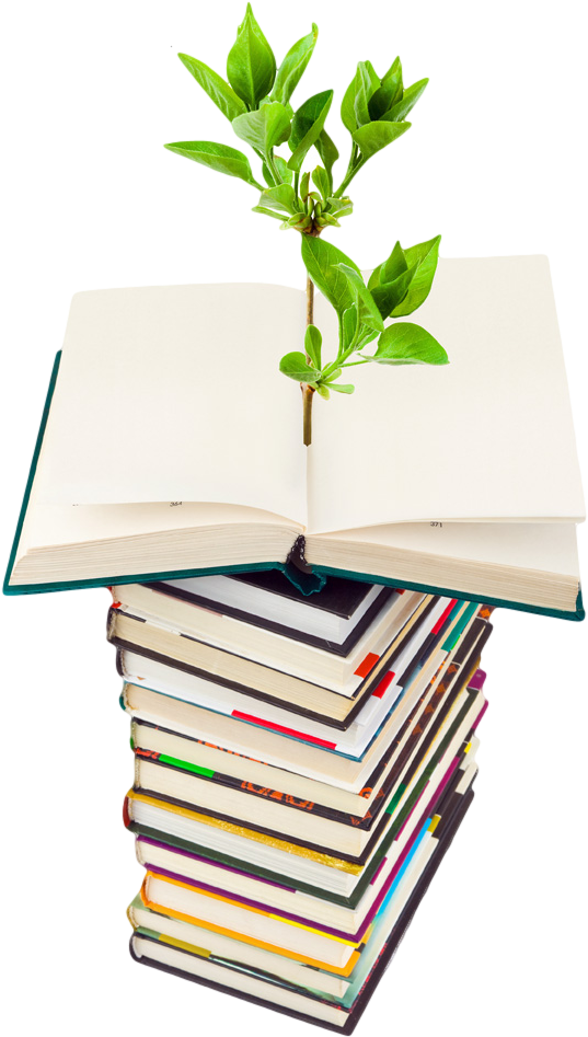 Photo Of Plant Growing From A Stack Of Books - Greatest Guide To Green Living (679x1019), Png Download