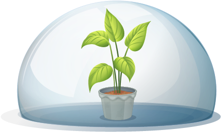 Humidity Dome - Flowering Plant And Non Flowering Plant (450x400), Png Download
