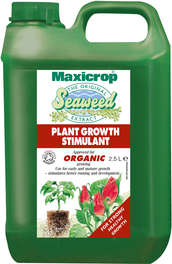 Next - Maxicrop Seaweed (600x897), Png Download