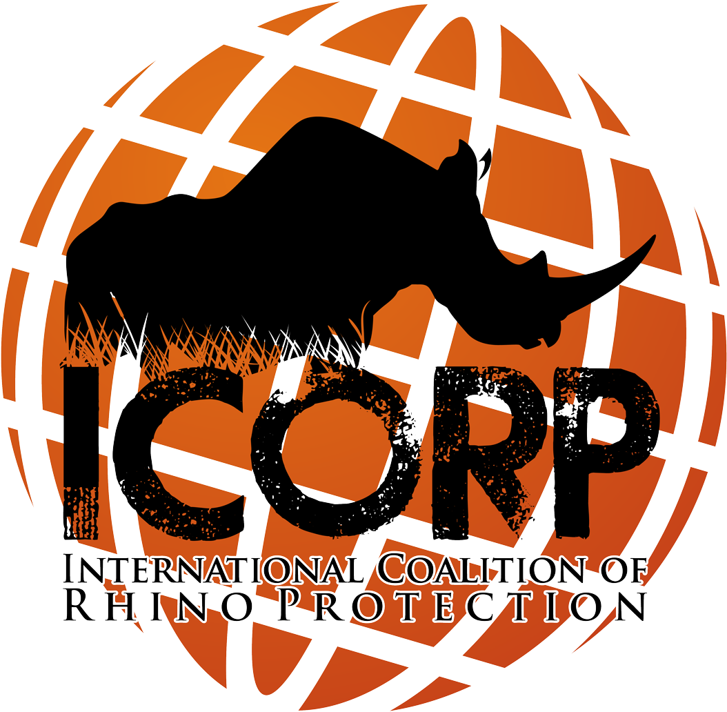 Instagram (1200x1183), Png Download