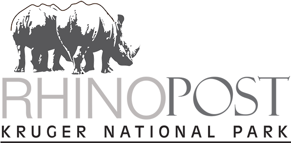 Rhino Post Drawing Logo - Black Rhinoceros (595x300), Png Download