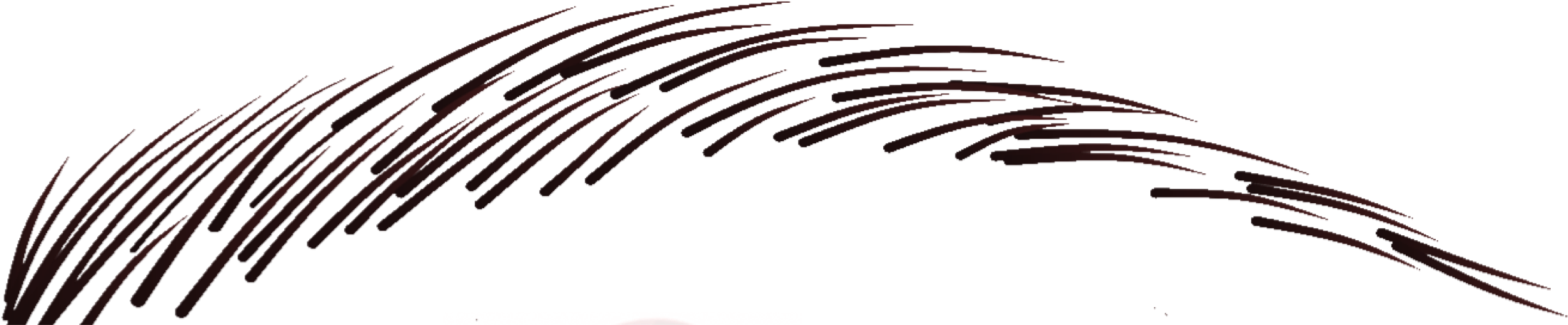 Micro Brow Sketch (2259x458), Png Download