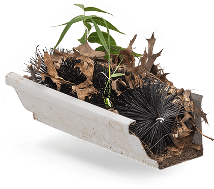 Brush Gutter Guards Do Not Seal The Gutter From Debris - Flowerpot (420x389), Png Download