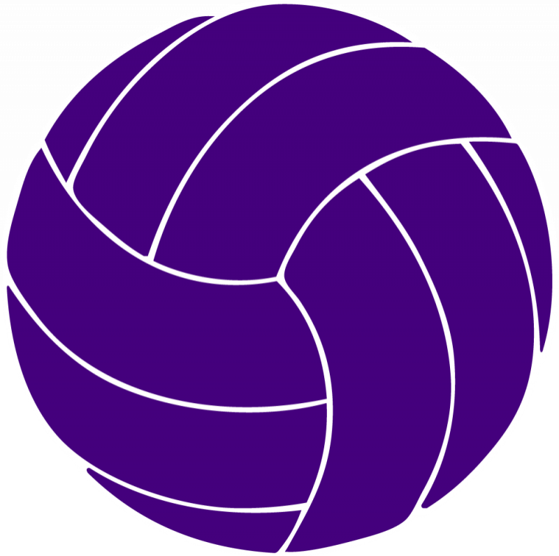 Pictures Of Volleyball Balls - Clipart Transparent Background Volleyball (800x796), Png Download